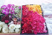 献花などの準備